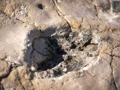 In tutte e cinque le orme � ben visibile un �bordo di espulsione�...